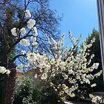 Apartament Ena, Strict Center, Sea View Opatija