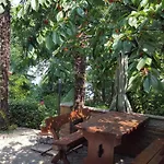 Ena, Strict Center, Sea View Apartament *